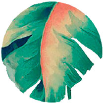 Jungle Coworking logo